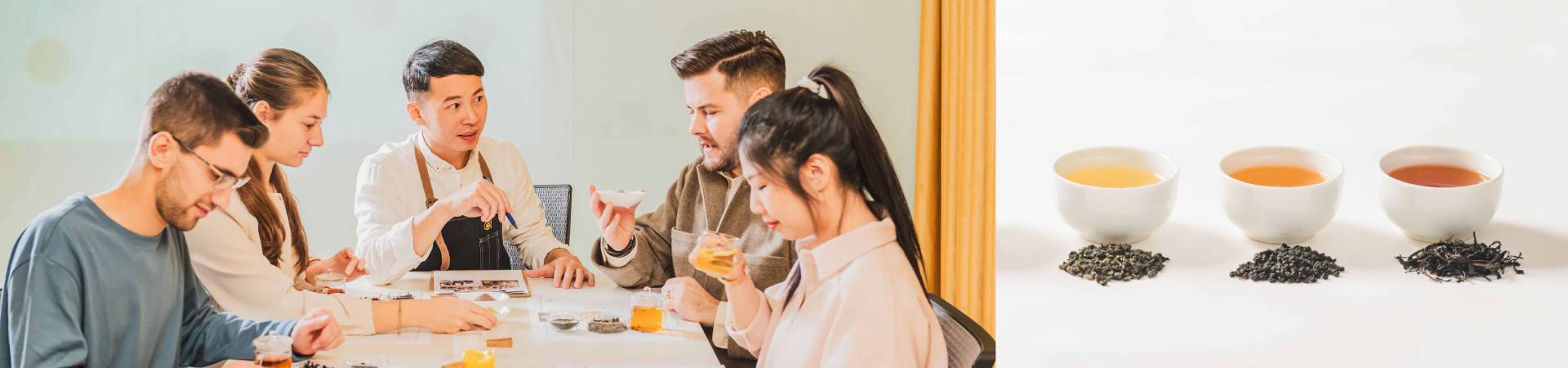Expert Consultation Services